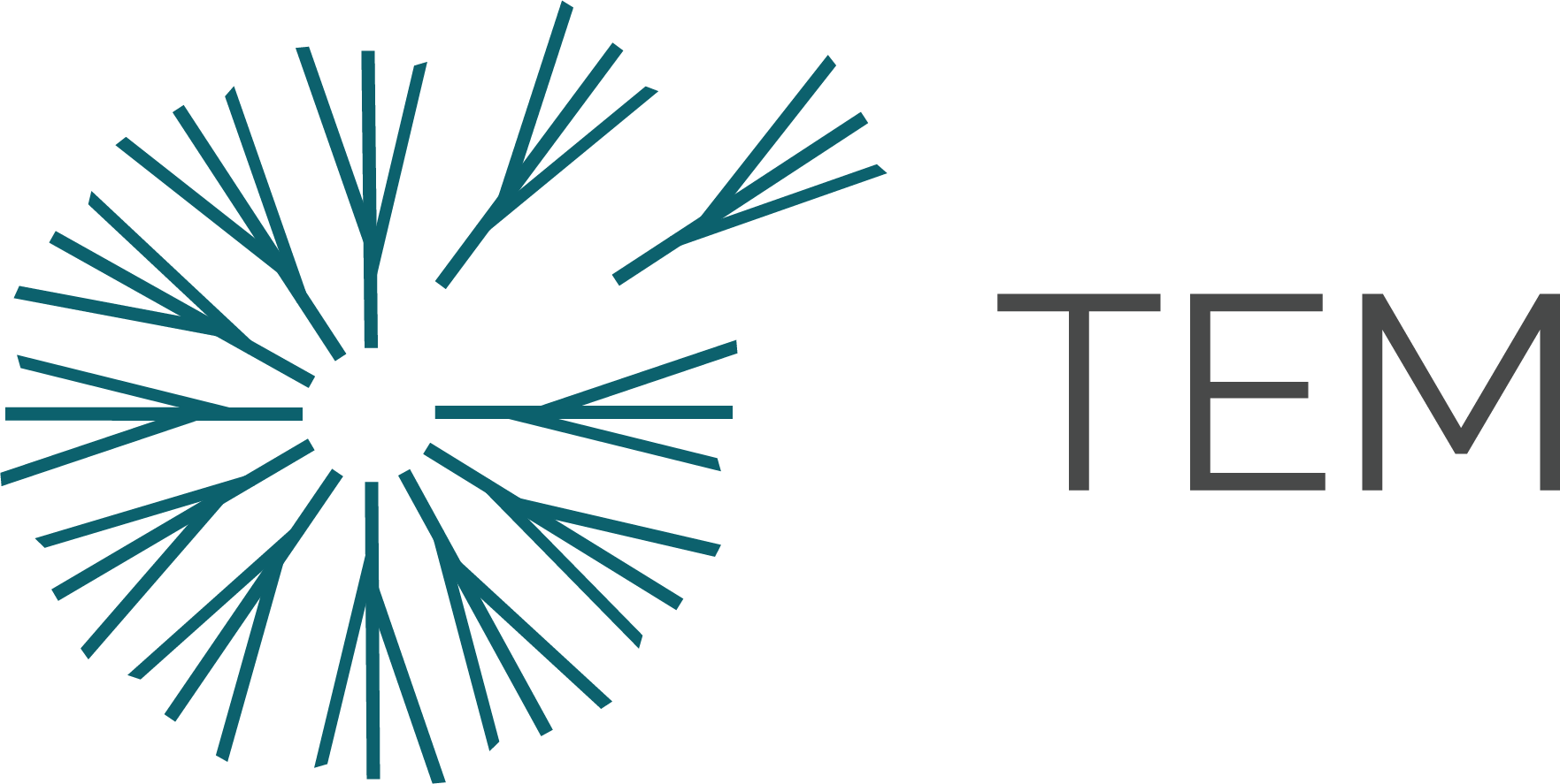 TEM logo