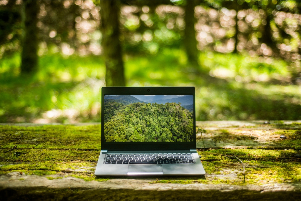 Laptop with rainforest
