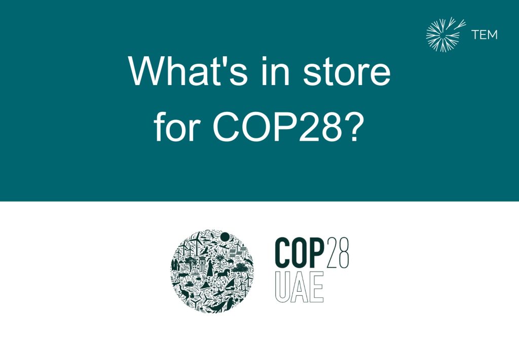 Image that says what's in store for COP28? with the COP28 UAE logo below.