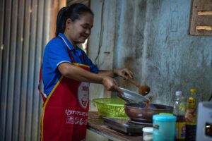 LAOS induction cookstove project - ecookstoves